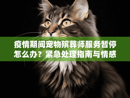 疫情期间宠物殡葬师服务暂停怎么办？紧急处理指南与情感抚慰方案