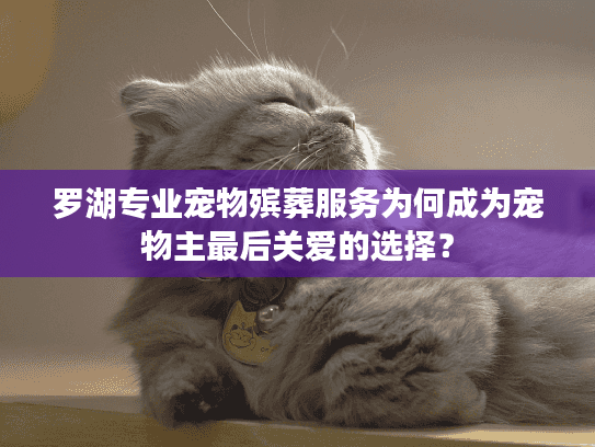 罗湖专业宠物殡葬服务为何成为宠物主最后关爱的选择？