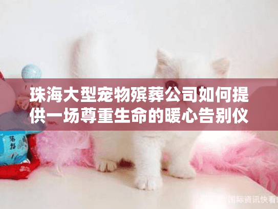 珠海大型宠物殡葬公司如何提供一场尊重生命的暖心告别仪式?