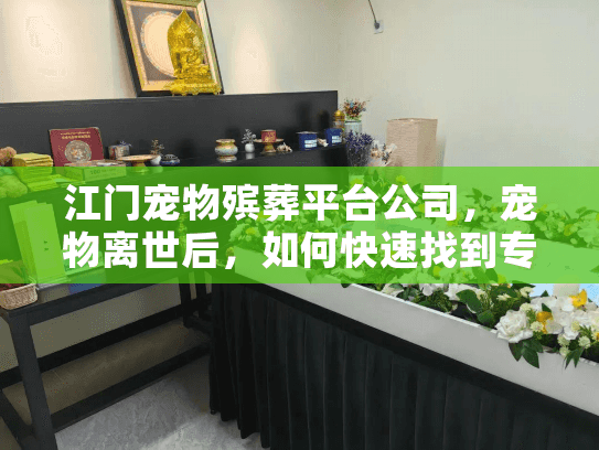 江门宠物殡葬平台公司，宠物离世后，如何快速找到专业告别服务？