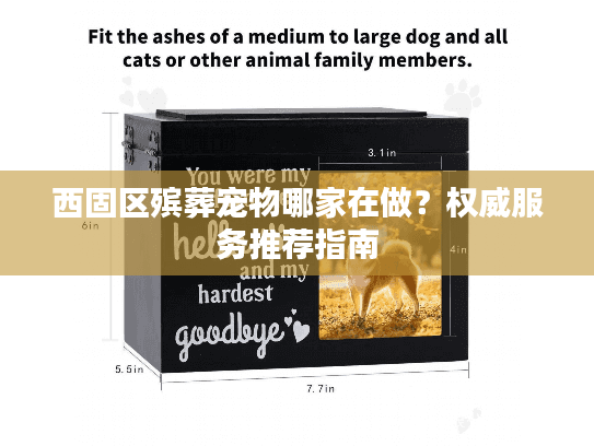 西固区殡葬宠物哪家在做？权威服务推荐指南