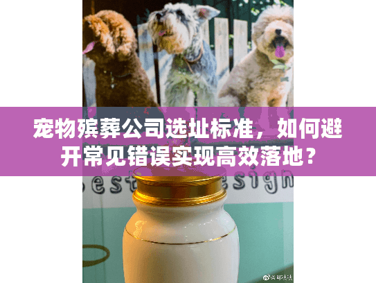 宠物殡葬公司选址标准，如何避开常见错误实现高效落地？