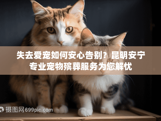 失去爱宠如何安心告别？昆明安宁专业宠物殡葬服务为您解忧