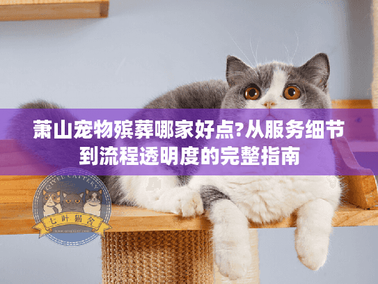 萧山宠物殡葬哪家好点?从服务细节到流程透明度的完整指南