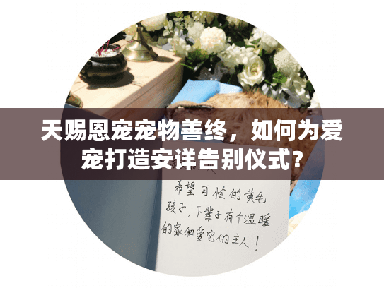 天赐恩宠宠物善终，如何为爱宠打造安详告别仪式？