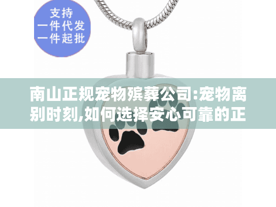 南山正规宠物殡葬公司:宠物离别时刻,如何选择安心可靠的正规服务?