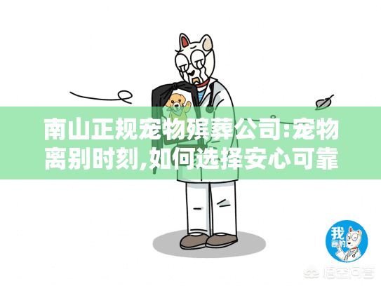 南山正规宠物殡葬公司:宠物离别时刻,如何选择安心可靠的正规服务?