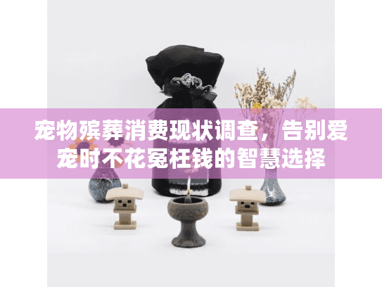 宠物殡葬消费现状调查，告别爱宠时不花冤枉钱的智慧选择