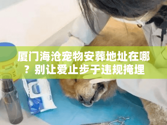 厦门海沧宠物安葬地址在哪?别让爱止步于违规掩埋 厦门海沧宠物安葬地址在哪?别让爱止步于违规掩埋
