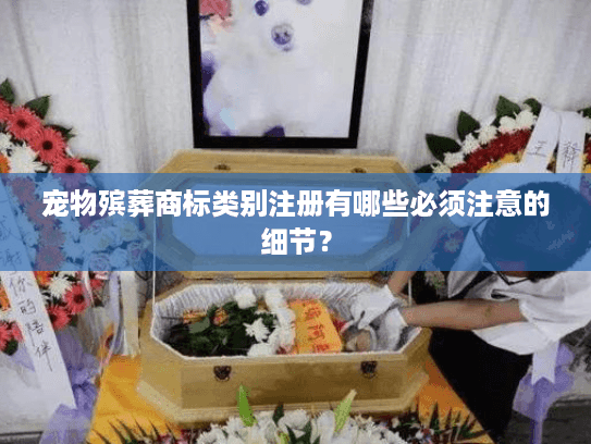 宠物殡葬商标类别注册有哪些必须注意的细节？