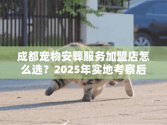 成都宠物安葬服务加盟店怎么选?2025年实地考察后的真实反馈 成都宠物安葬服务加盟店怎么选?2025年实地考察后的真实反馈
