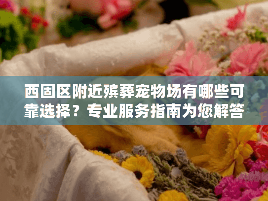 西固区附近殡葬宠物场有哪些可靠选择？专业服务指南为您解答