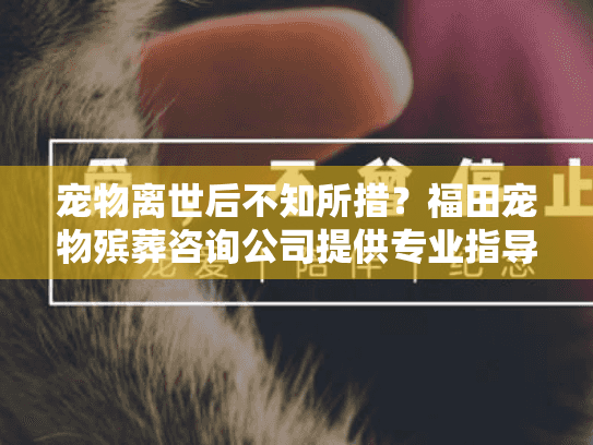 宠物离世后不知所措？福田宠物殡葬咨询公司提供专业指导