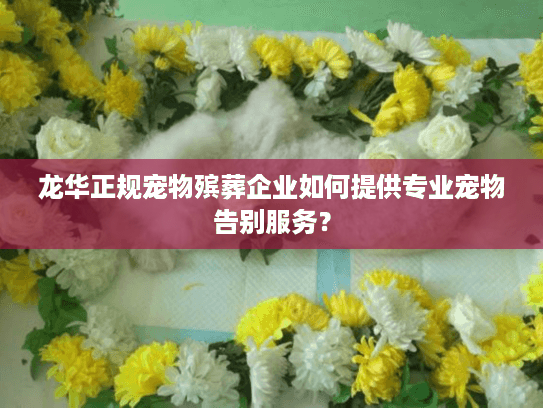 龙华正规宠物殡葬企业如何提供专业宠物告别服务？