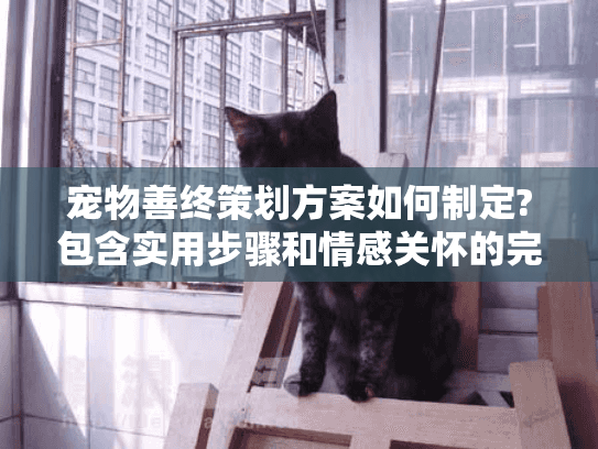 宠物善终策划方案如何制定?包含实用步骤和情感关怀的完整指南