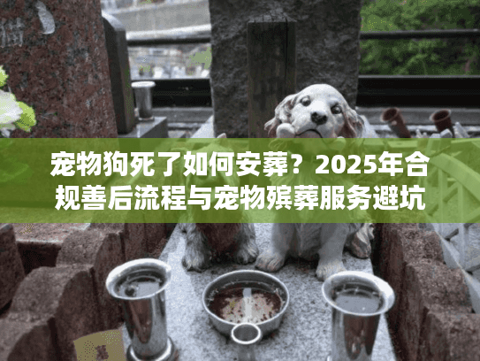 宠物狗死了如何安葬？2025年合规善后流程与宠物殡葬服务避坑