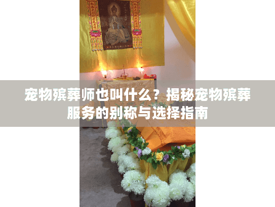 宠物殡葬师也叫什么？揭秘宠物殡葬服务的别称与选择指南