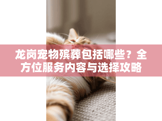龙岗宠物殡葬包括哪些？全方位服务内容与选择攻略