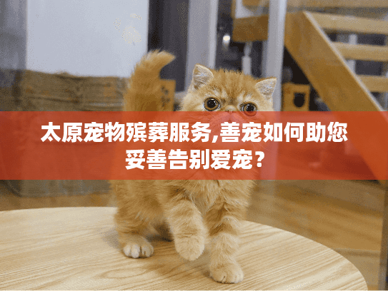 太原宠物殡葬服务,善宠如何助您妥善告别爱宠？