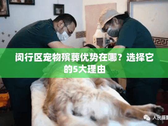 闵行区宠物殡葬优势在哪？选择它的5大理由