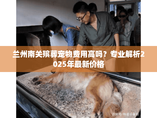 兰州南关殡葬宠物费用高吗？专业解析2025年最新价格