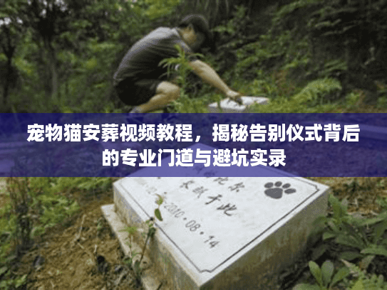 宠物猫安葬视频教程，揭秘告别仪式背后的专业门道与避坑实录