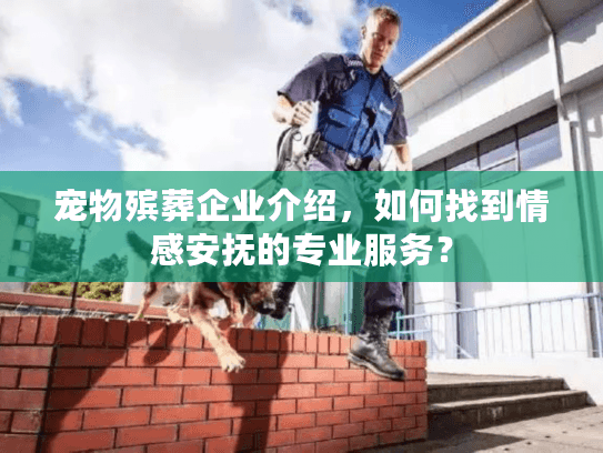 宠物殡葬企业介绍，如何找到情感安抚的专业服务？