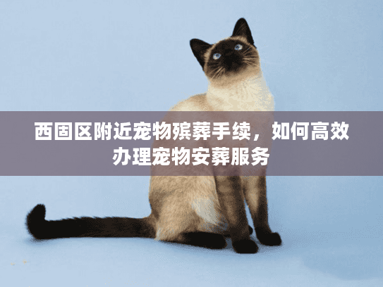 西固区附近宠物殡葬手续，如何高效办理宠物安葬服务