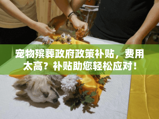 宠物殡葬政府政策补贴，费用太高？补贴助您轻松应对！