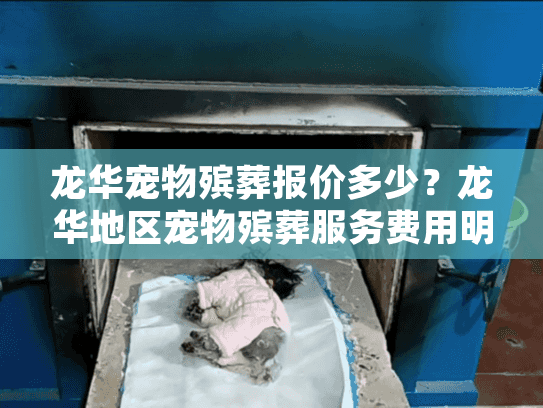 龙华宠物殡葬报价多少？龙华地区宠物殡葬服务费用明细分析