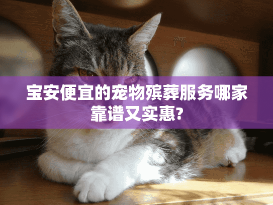 宝安便宜的宠物殡葬服务哪家靠谱又实惠?