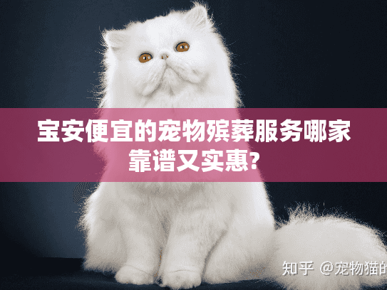 宝安便宜的宠物殡葬服务哪家靠谱又实惠?