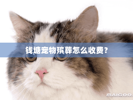 钱塘宠物殡葬怎么收费？