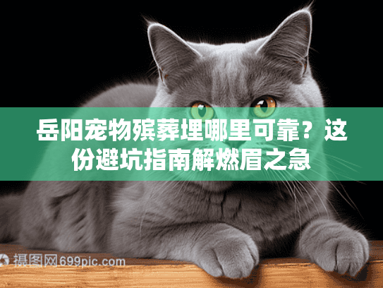 岳阳宠物殡葬埋哪里可靠？这份避坑指南解燃眉之急