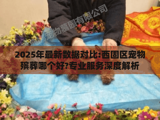 2025年最新数据对比:西固区宠物殡葬哪个好?专业服务深度解析