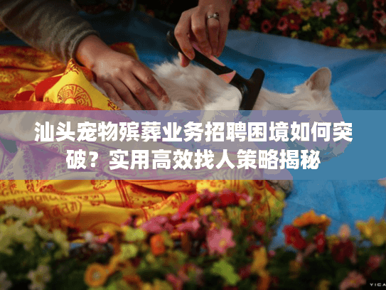 汕头宠物殡葬业务招聘困境如何突破？实用高效找人策略揭秘