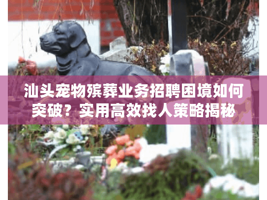 汕头宠物殡葬业务招聘困境如何突破？实用高效找人策略揭秘