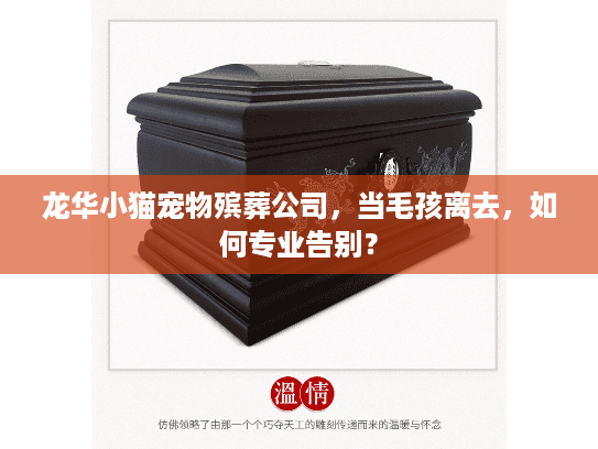龙华小猫宠物殡葬公司，当毛孩离去，如何专业告别？