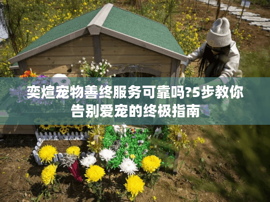 奕煊宠物善终服务可靠吗?5步教你告别爱宠的终极指南