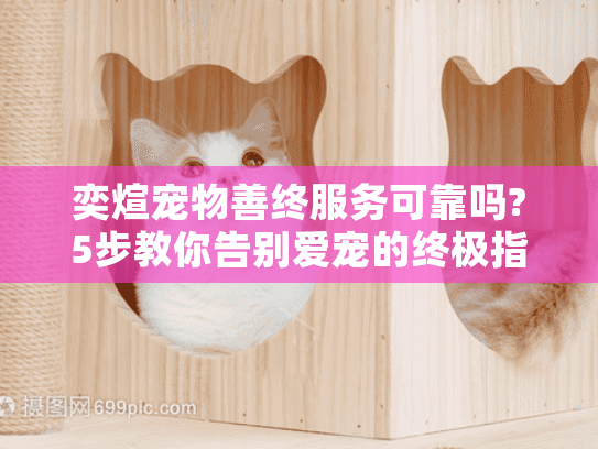 奕煊宠物善终服务可靠吗?5步教你告别爱宠的终极指南