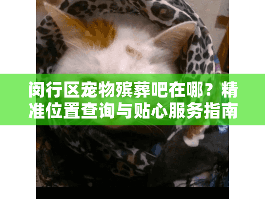 闵行区宠物殡葬吧在哪？精准位置查询与贴心服务指南