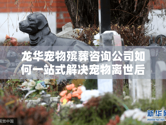 龙华宠物殡葬咨询公司如何一站式解决宠物离世后的服务难题？