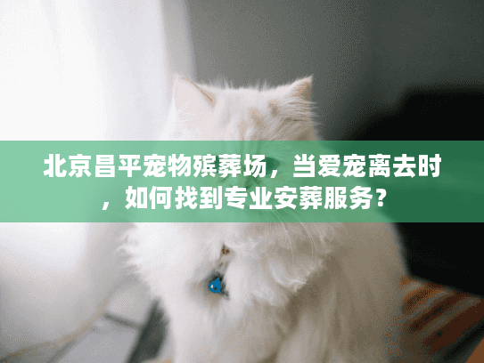 北京昌平宠物殡葬场，当爱宠离去时，如何找到专业安葬服务？