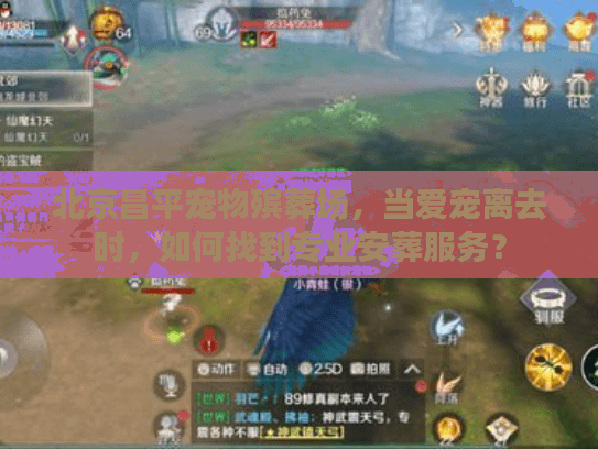 北京昌平宠物殡葬场，当爱宠离去时，如何找到专业安葬服务？