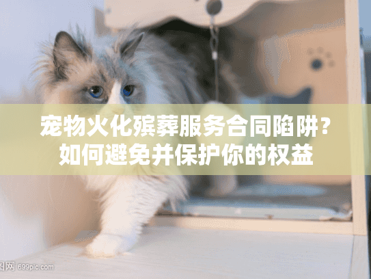 宠物火化殡葬服务合同陷阱？如何避免并保护你的权益