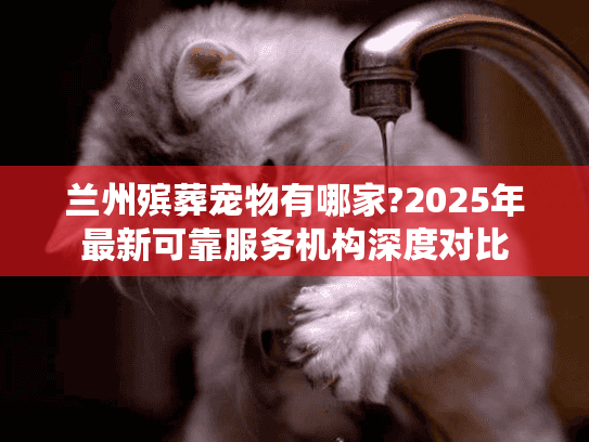 兰州殡葬宠物有哪家?2025年最新可靠服务机构深度对比
