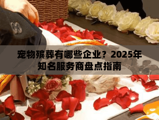 宠物殡葬有哪些企业？2025年知名服务商盘点指南
