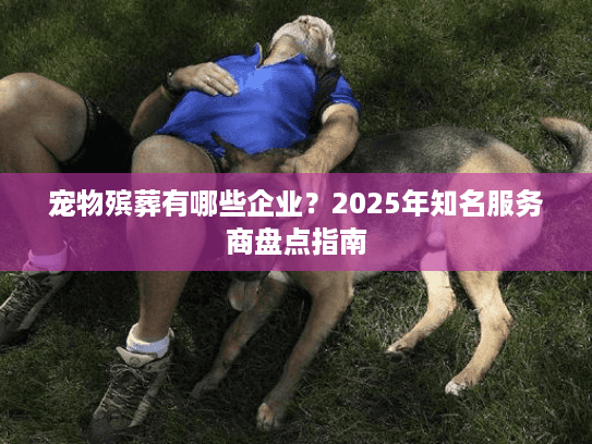 宠物殡葬有哪些企业？2025年知名服务商盘点指南