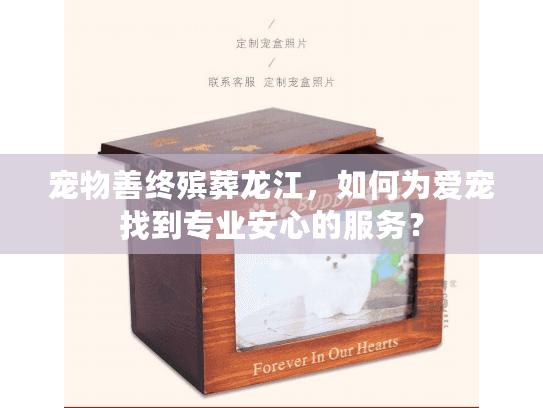 宠物善终殡葬龙江，如何为爱宠找到专业安心的服务？