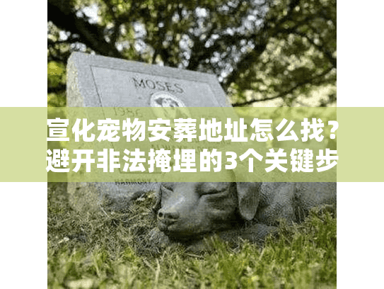 宣化宠物安葬地址怎么找?避开非法掩埋的3个关键步骤 宣化宠物安葬地址怎么找?避开非法掩埋的3个关键步骤